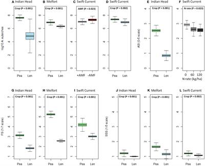 Effects of nitrogen fertilization and a commercial arbuscular mycorrhizal fungal inoculant on root rot and agronomic production of pea and lentil crops